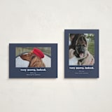 "Indeed" - Holiday Cards in Midnight by Kristen Knechtel - Photo Orientation Options