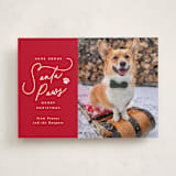 "Here Comes Santa Paws" - Holiday Cards in Candied Apple by Everett Paper Goods - Front