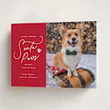 "Here Comes Santa Paws" - Holiday Cards in Candied Apple by Everett Paper Goods - Folded Card