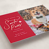 "Here Comes Santa Paws" - Holiday Cards in Candied Apple by Everett Paper Goods - Detail