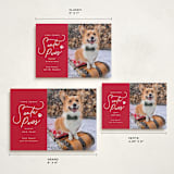 "Here Comes Santa Paws" - Holiday Cards in Candied Apple by Everett Paper Goods - Formats Available