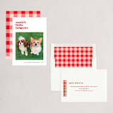 "litte helpaw(s)" - Holiday Cards in Peppermint by Pippa Shaw - Assembled