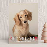 "naughty dog" - Holiday Cards in Fire Engine by Erin Deegan - Front