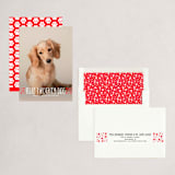 "naughty dog" - Holiday Cards in Fire Engine by Erin Deegan - Assembled