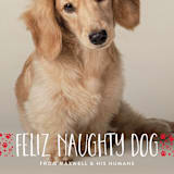 "naughty dog" - Holiday Cards in Fire Engine by Erin Deegan - Detail