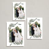 "Winter Foliage" - Holiday Cards in Snow by Joanna Griffin - Formats Available