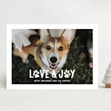 "Puppy Love and Joy" - Holiday Cards in Snow by Hooray Creative - Front