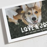 "Puppy Love and Joy" - Holiday Cards in Snow by Hooray Creative - Detail