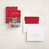 "Here Comes Santa Paws" - Holiday Cards in Candied Apple by Everett Paper Goods - Assembled
