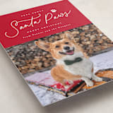 "Here Comes Santa Paws" - Holiday Cards in Candied Apple by Everett Paper Goods - Detail