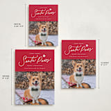 "Here Comes Santa Paws" - Holiday Cards in Candied Apple by Everett Paper Goods - Formats Available