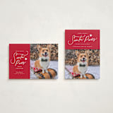 "Here Comes Santa Paws" - Holiday Cards in Candied Apple by Everett Paper Goods - Photo Orientation Options