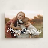 "Unleashed" - Holiday Cards in Snow by Annie Holmquist - Front