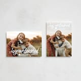 "Unleashed" - Holiday Cards in Snow by Annie Holmquist - Photo Orientation Options