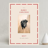 "Wuff" - Holiday Cards in Holly by Anne Ciotola - Front