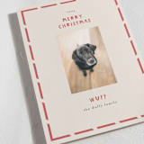 "Wuff" - Holiday Cards in Holly by Anne Ciotola - Detail