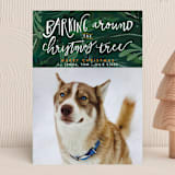 "Barking Fun" - Holiday Cards in Evergreen by Stephanie Given - Front