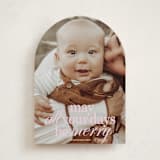 "All Merry Days" - Holiday Cards in Winter Rose by Baumbirdy - Front