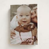 "All Merry Days" - Holiday Cards in Winter Rose by Baumbirdy - Folded Card