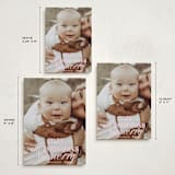 "All Merry Days" - Holiday Cards in Winter Rose by Baumbirdy - Formats Available