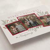 "Pine Holly" - Holiday Cards in Sugar Cookie by Everett Paper Goods - Detail