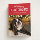 "Grinch Face" - Holiday Cards in Poinsettia by Erica Krystek - Folded Card