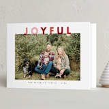 "Quiet Color" - Holiday Cards in Berries by Up Up Creative - Folded Card