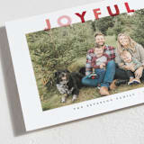 "Quiet Color" - Holiday Cards in Berries by Up Up Creative - Detail