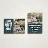 "Our Pack to Yours" - Holiday Cards in Blue Spruce by Brooke Chandler - Photo Orientation Options