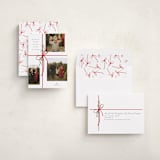 "Holiday gifts" - Holiday Cards in Candied Apple by Susan Zinader - Assembled