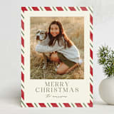 "Vintage Candy Cane" - Holiday Cards in Poinsettia by Angela Garrick - Front
