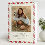 "Vintage Candy Cane" - Holiday Cards in Poinsettia by Angela Garrick - Folded Card
