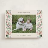 "Highlands" - Holiday Cards in Cranberry by Sarah Knight - Front