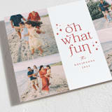 "Brilliant Fun" - Holiday Cards in Holly Berry by Olivia Raufman - Detail