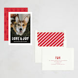 "Puppy Love and Joy" - Holiday Cards in Snow by Hooray Creative - Assembled