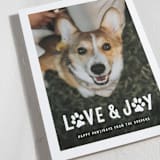 "Puppy Love and Joy" - Holiday Cards in Snow by Hooray Creative - Detail