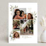 "Winter Holly" - Holiday Cards in Pecan by Susan Moyal - Front