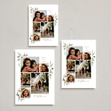 "Winter Holly" - Holiday Cards in Pecan by Susan Moyal - Formats Available