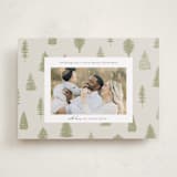 "All Evergreen" - Holiday Cards in Greenery by Heather Cairl - Front