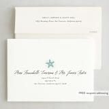 "Sand and Snow" - Holiday Cards in Shaved Ice by Ali Means - FREE Recipient Addressing