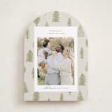 "All Evergreen" - Holiday Cards in Greenery by Heather Cairl - Front