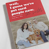 "Pet card People" - Holiday Cards in Rovers Ball by Erin L. Wilson - Detail