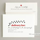 "Pet card People" - Holiday Cards in Rovers Ball by Erin L. Wilson - FREE Recipient Addressing