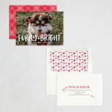 "Bright & Furry" - Holiday Cards in Winter by Ashley Rosenbaum - Assembled