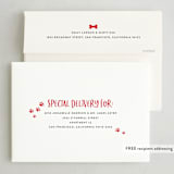 "Bright & Furry" - Holiday Cards in Winter by Ashley Rosenbaum - FREE Recipient Addressing