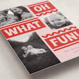 "Ski Slope" - Holiday Cards in Winter Rose by Baumbirdy - Detail