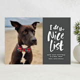 "I ate the nice list" - Holiday Cards in Charcoal by Lea Delaveris - Front
