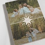 "Snow Day" - Holiday Cards in Vanilla by Olivia Raufman - Detail