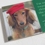 "For the Treats" - Holiday Cards in Emerald by 2birdstone - Detail