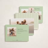 "sweetly framed" - Holiday Cards in Lime by Ellen Schlegelmilch - Back of Card Options